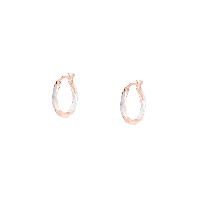 Boucles d'oreilles CLEOR pour femme en Or 375/1000 - 0.001 g - taille : 1.2CM - Z0154877