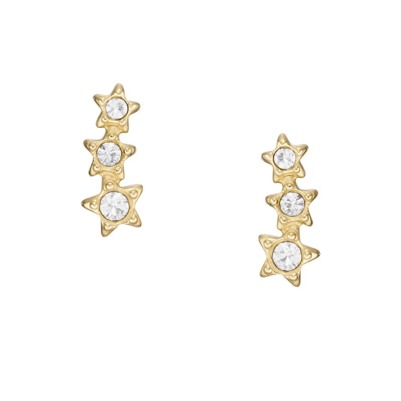 Boucles d'oreilles FOSSIL pour femme en Acier - JF04241710