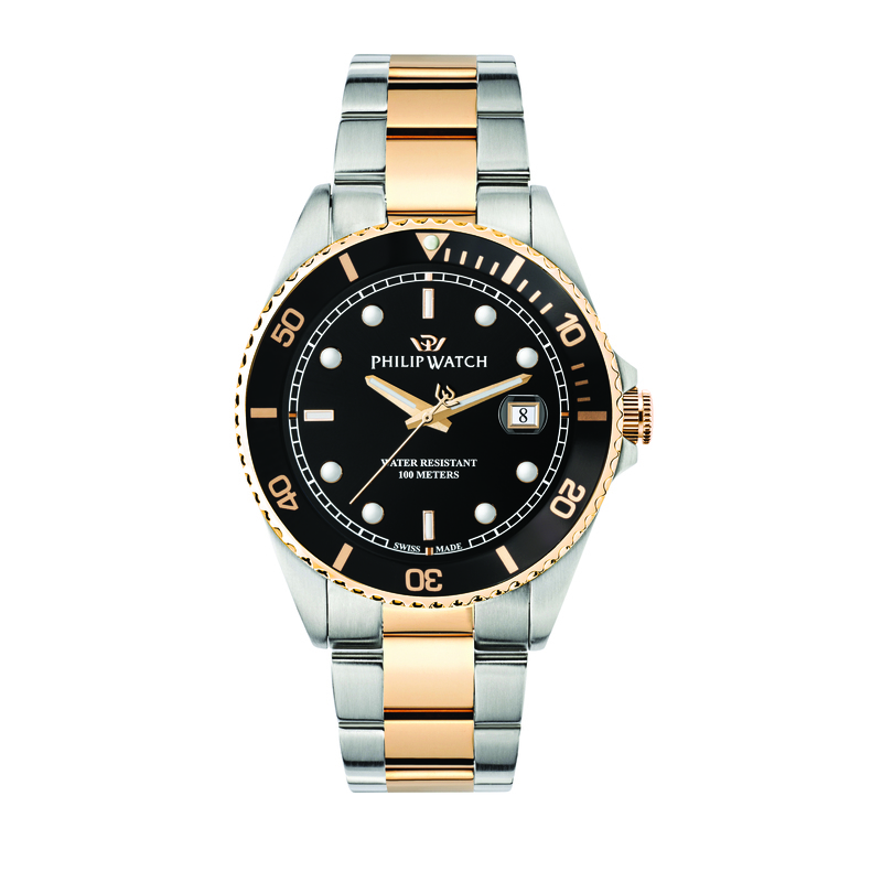Montre PHILIP WATCH pour homme en AcierAcier en forme de rond de forme Rond, couleur : NOIR, SUNRAY, fonctionnalités : 10 ATM - 0.164 g  - R8253597079