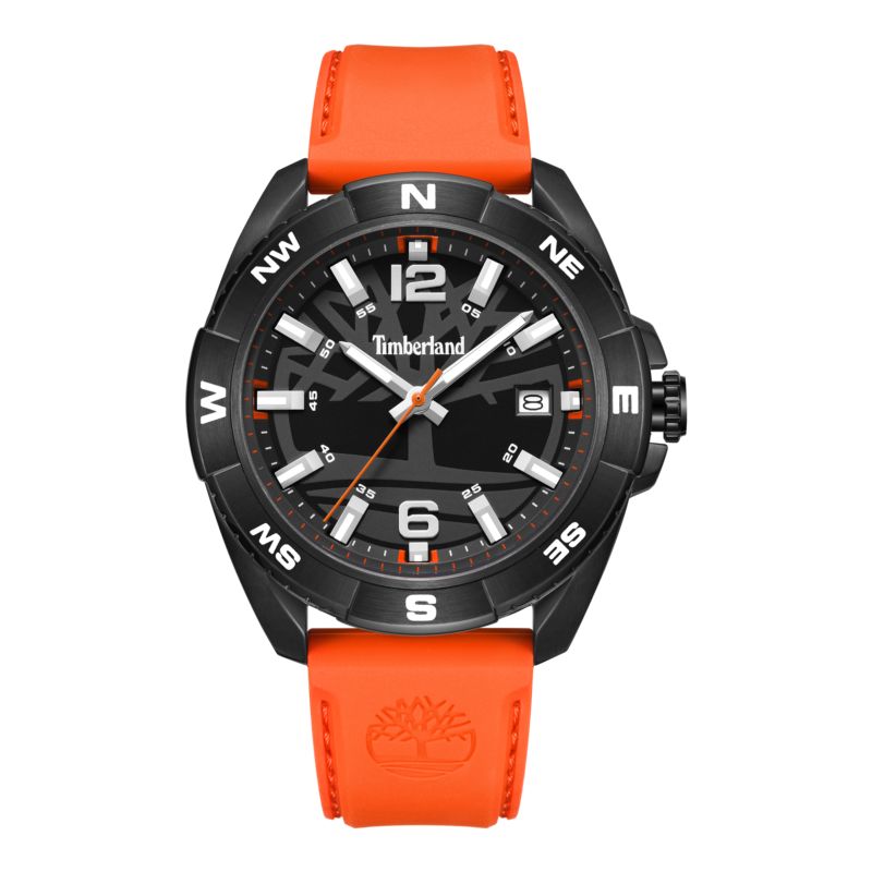 Montre TIMBERLAND pour homme en AcierAcier, fonctionnalités : 5 ATM - 0.080 g  - TDWGN2202103